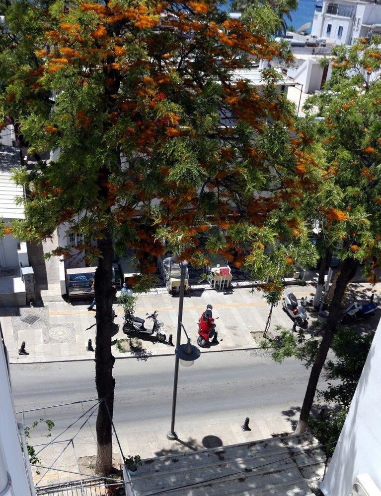 Agan Pension Bodrum Exteriör bild