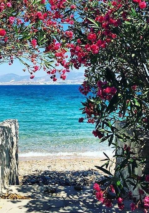 Agan Pension Bodrum Exteriör bild